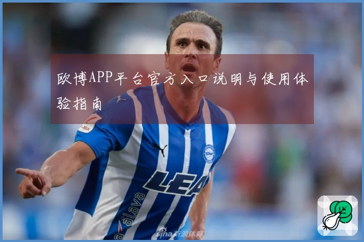 欧博APP平台官方入口说明与使用体验指南