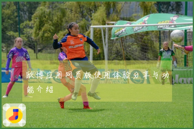 欧博应用网页版使用体验分享与功能介绍