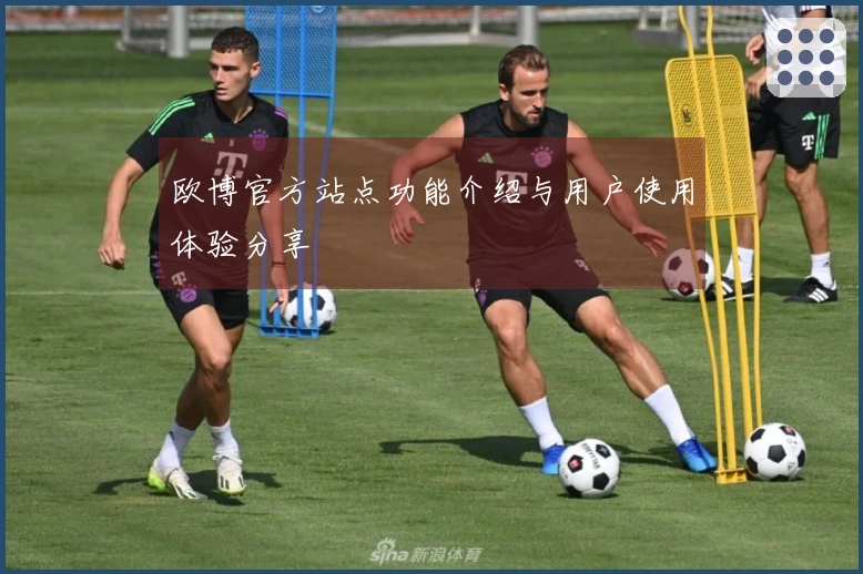 欧博官方站点功能介绍与用户使用体验分享