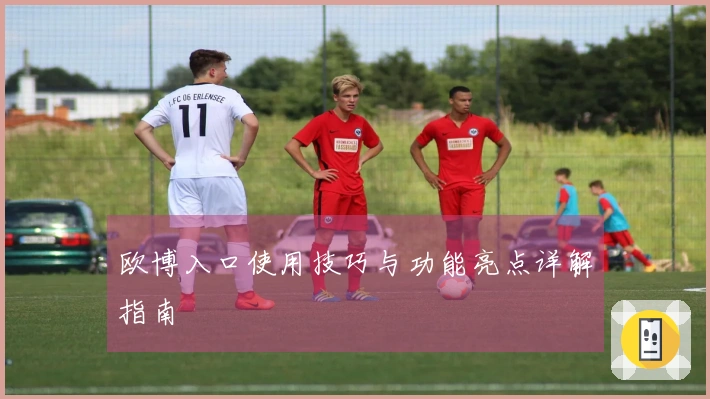 欧博入口使用技巧与功能亮点详解指南