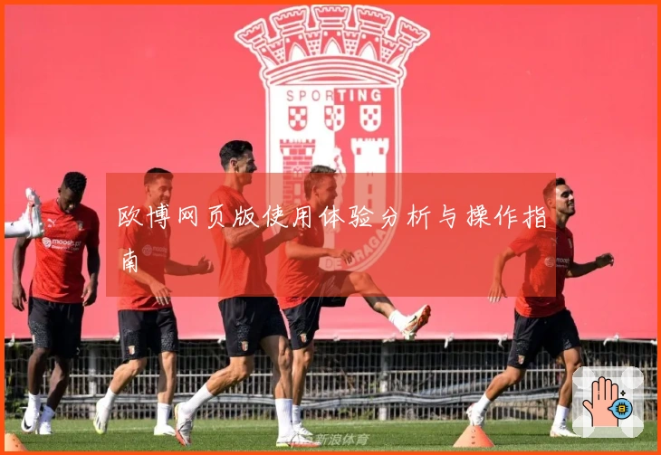欧博网页版使用体验分析与操作指南