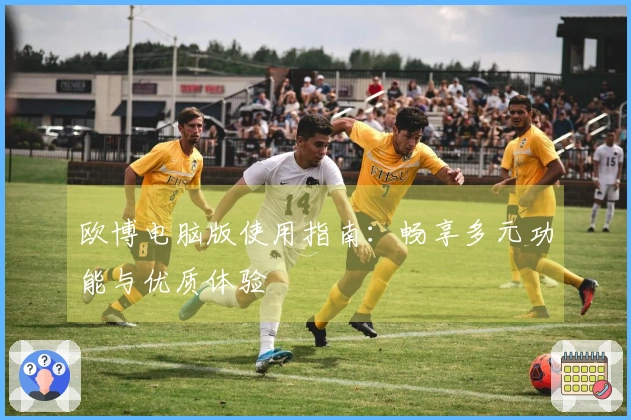 欧博电脑版使用指南：畅享多元功能与优质体验