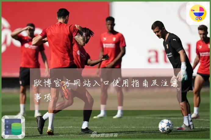 欧博官方网站入口使用指南及注意事项