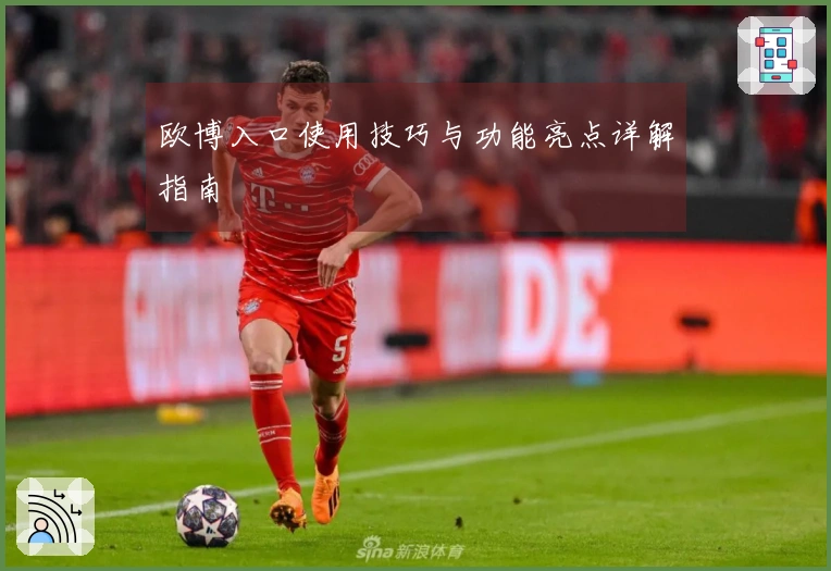 欧博入口使用技巧与功能亮点详解指南